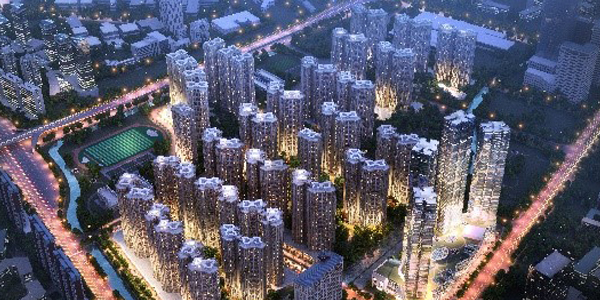 1486733936398025.jpg D1.jpg