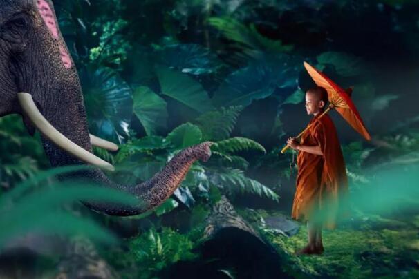 在最美的季節(jié)遇見你 雅居樂“上山下?！斌w驗行