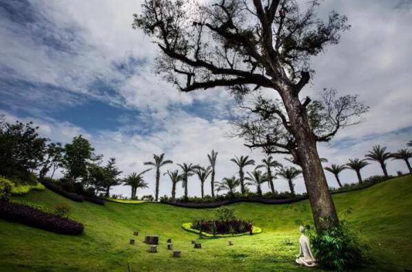 在最美的季節(jié)遇見你 雅居樂“上山下?！斌w驗行