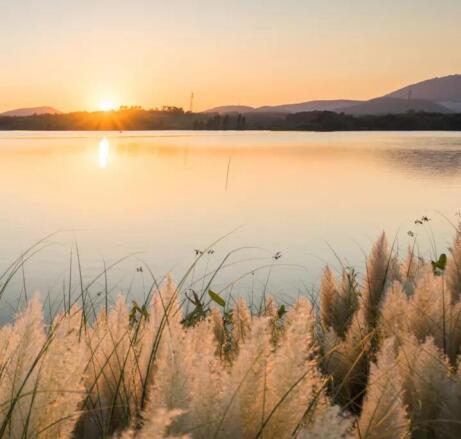 在最美的季節(jié)遇見你 雅居樂“上山下?！斌w驗行